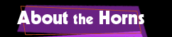 About The Horns